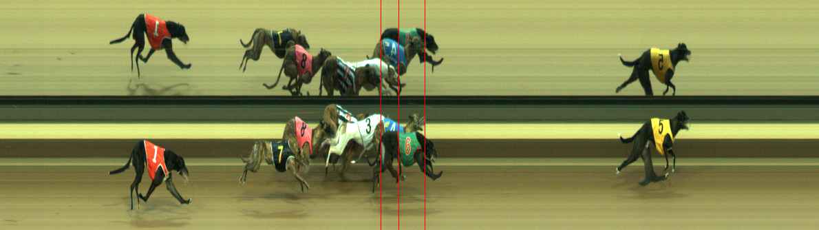 Photo finish for Warragul Race 8