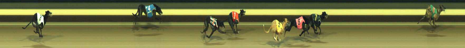Photo finish for Warragul Race 10