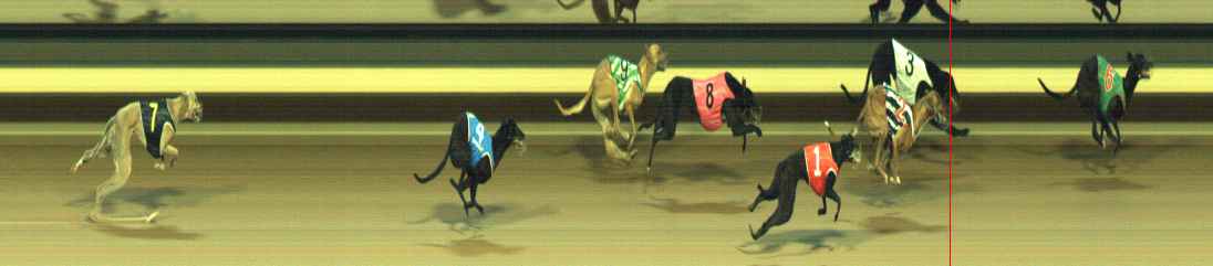 Photo finish for Warragul Race 11