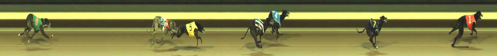 Photo finish for Warragul Race 12