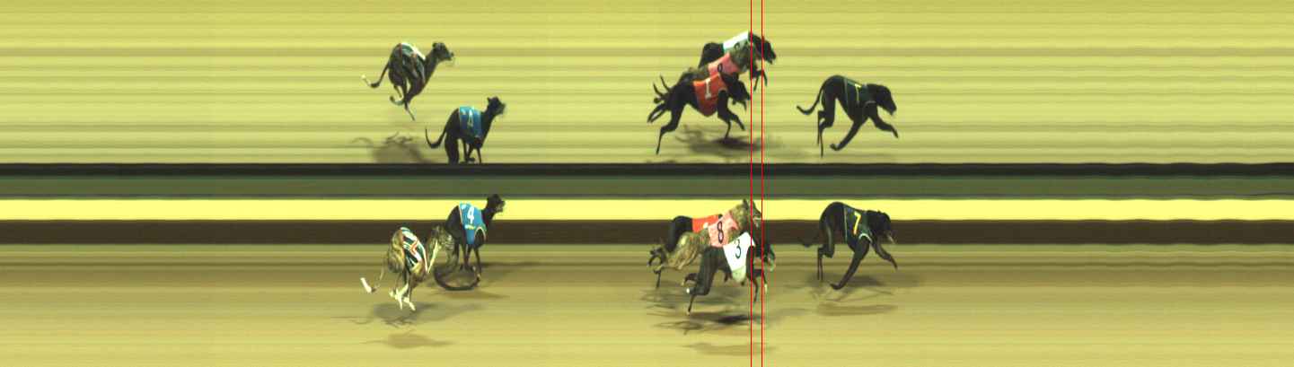 Photo finish for Warragul Race 1