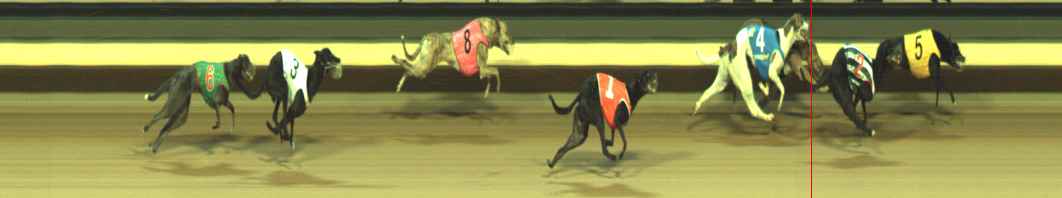 Photo finish for Warragul Race 5