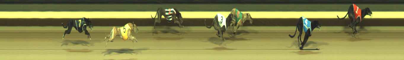 Photo finish for Warragul Race 7