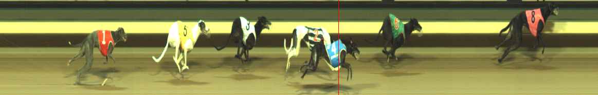 Photo finish for Warragul Race 8