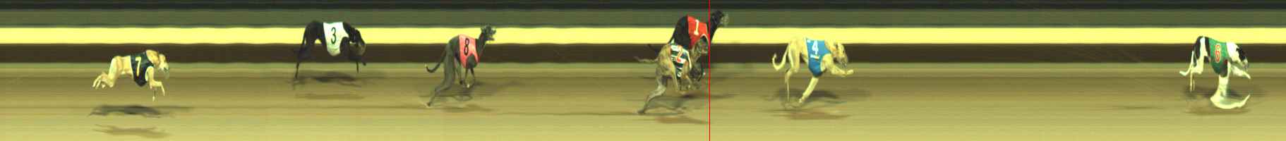 Photo finish for Warragul Race 9