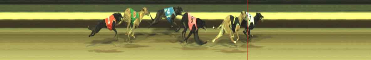 Photo finish for Warragul Race 10