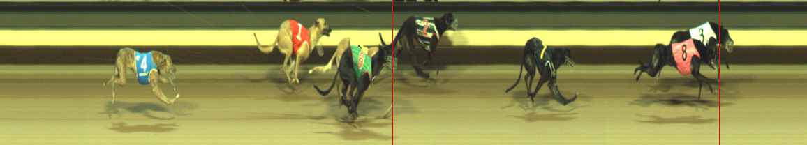 Photo finish for Warragul Race 12