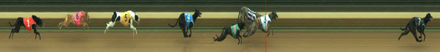 Photo finish for Warragul Race 1