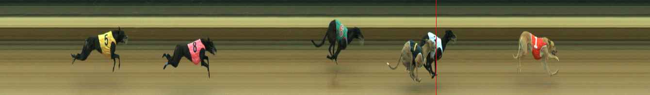Photo finish for Warragul Race 2