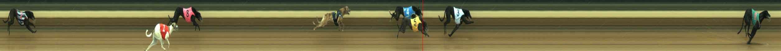 Photo finish for Warragul Race 3