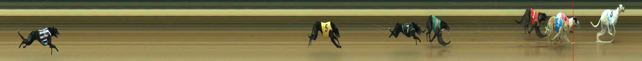 Photo finish for Warragul Race 4