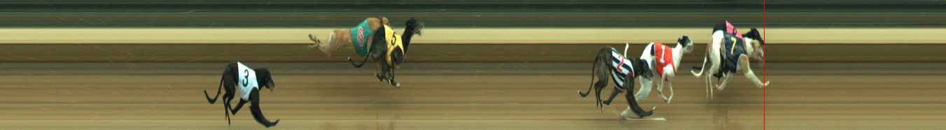 Photo finish for Warragul Race 5