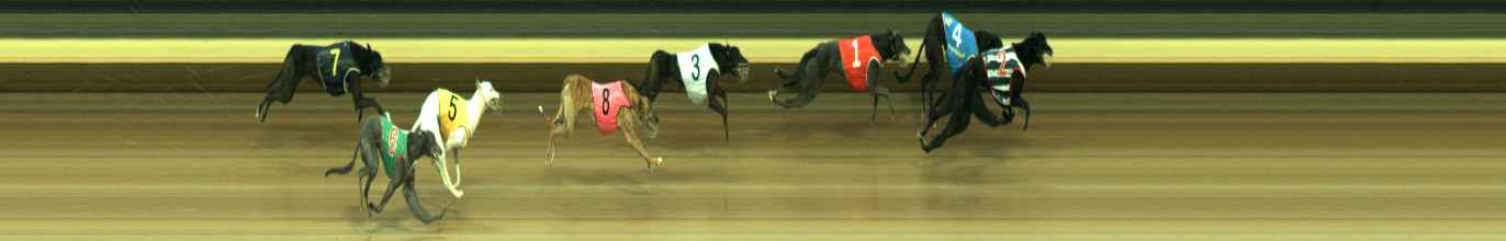 Photo finish for Warragul Race 7