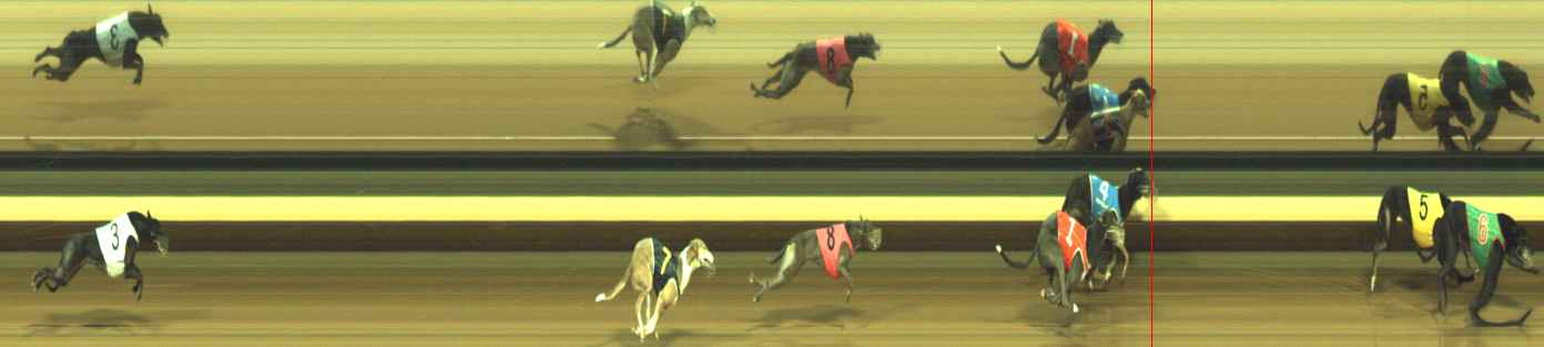 Photo finish for Warragul Race 10