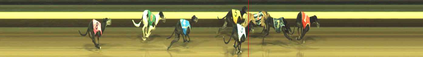 Photo finish for Warragul Race 11