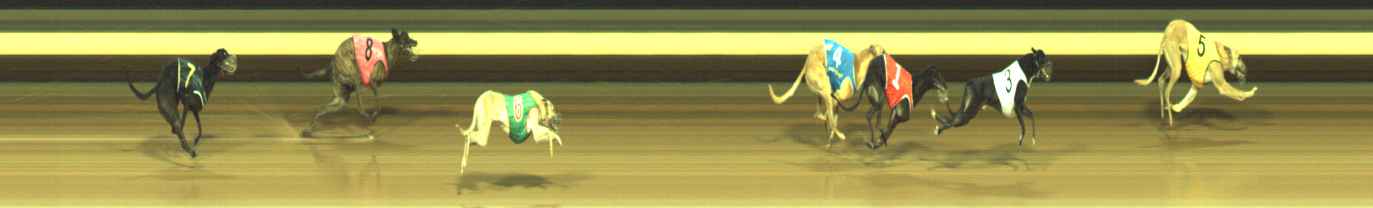 Photo finish for Warragul Race 12