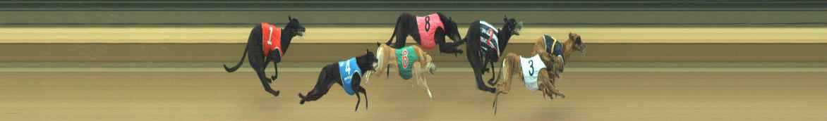 Photo finish for Warragul Race 2