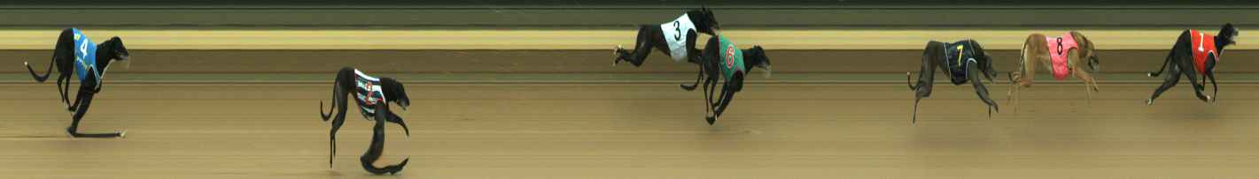 Photo finish for Warragul Race 3