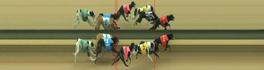 Photo finish for Warragul Race 5