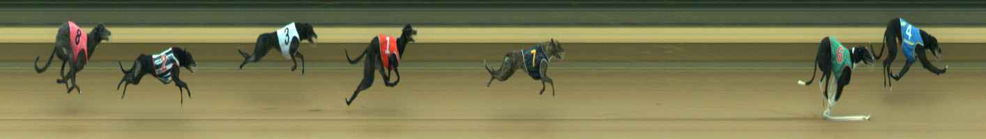 Photo finish for Warragul Race 7