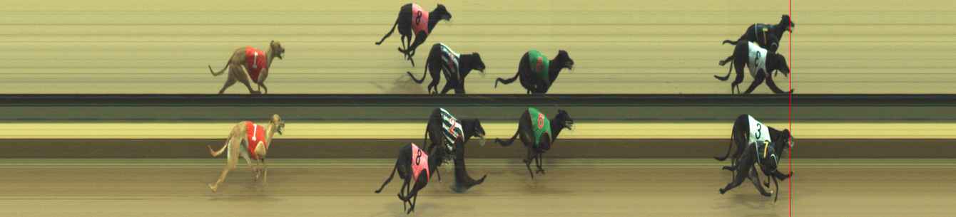Photo finish for Warragul Race 8