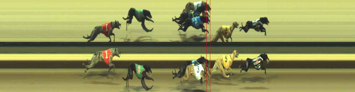 Photo finish for Warragul Race 10
