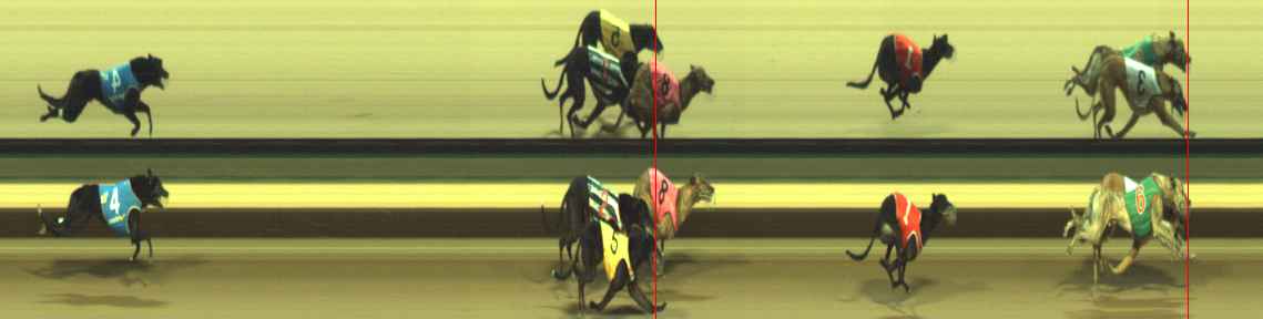 Photo finish for Warragul Race 11