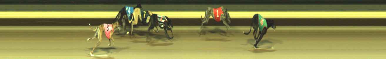 Photo finish for Warragul Race 12