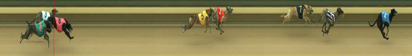 Photo finish for Warragul Race 1