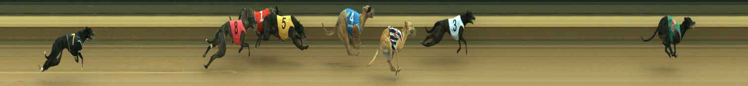 Photo finish for Warragul Race 3