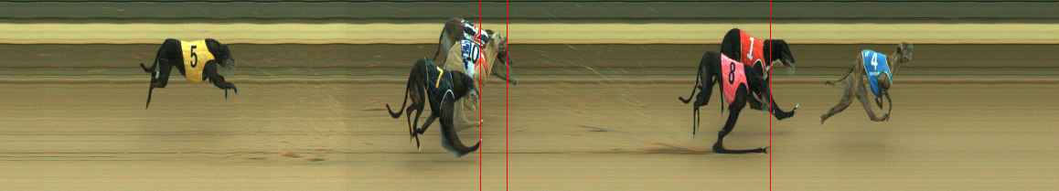Photo finish for Warragul Race 4