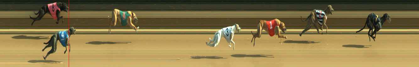 Photo finish for Warragul Race 7