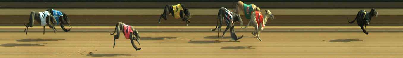 Photo finish for Warragul Race 8