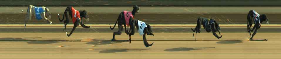 Photo finish for Warragul Race 9