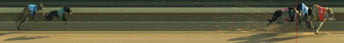 Photo finish for Warragul Race 11