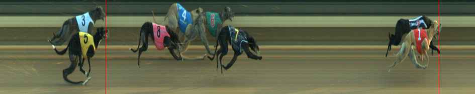 Photo finish for Warragul Race 12