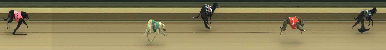 Photo finish for Warragul Race 1
