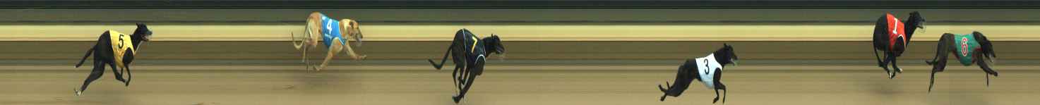 Photo finish for Warragul Race 2
