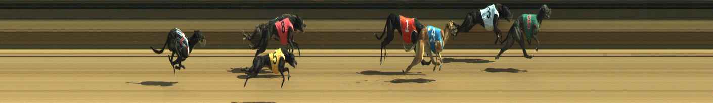 Photo finish for Warragul Race 5