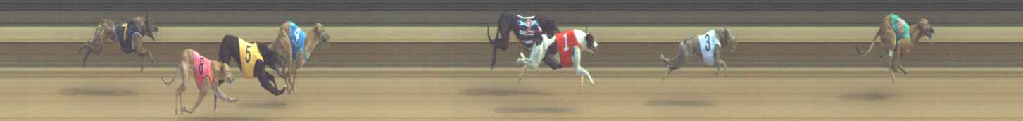 Photo finish for Warragul Race 6