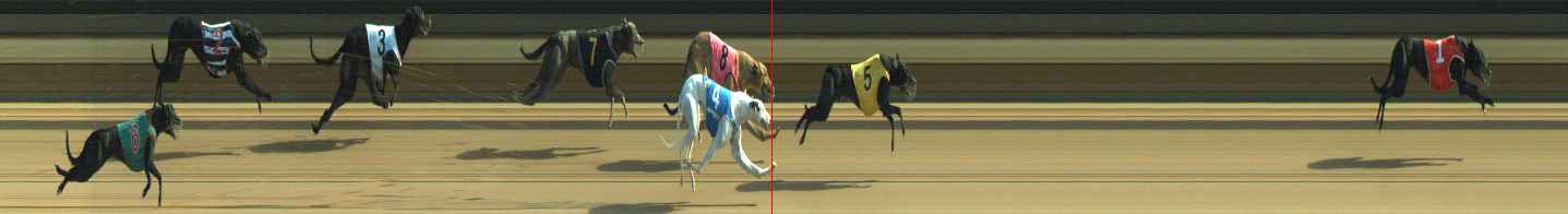 Photo finish for Warragul Race 8