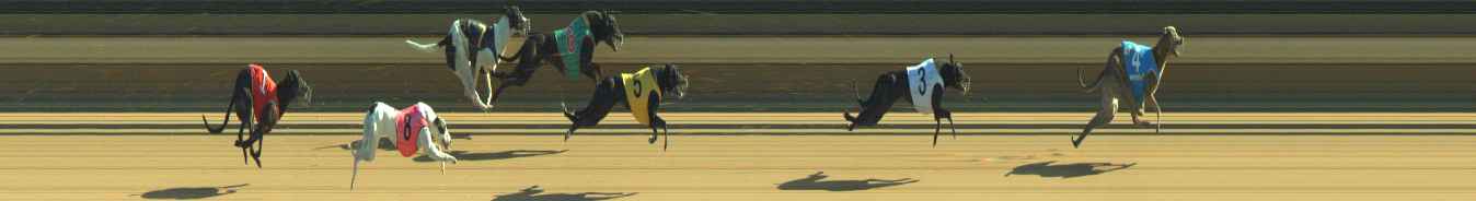 Photo finish for Warragul Race 9