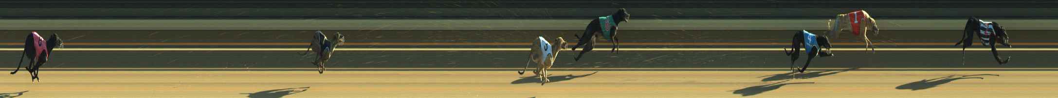 Photo finish for Warragul Race 11