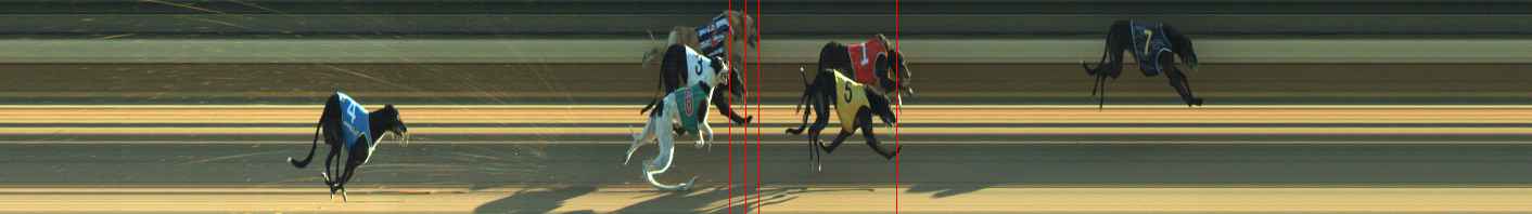 Photo finish for Warragul Race 12