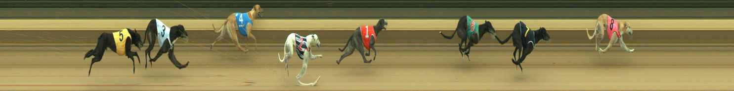 Photo finish for Warragul Race 1