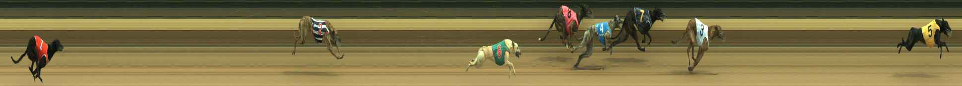 Photo finish for Warragul Race 2