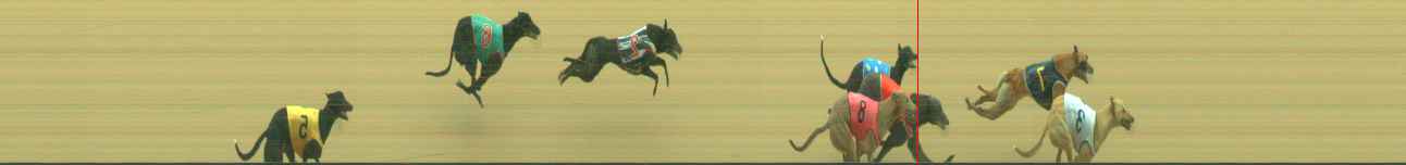 Photo finish for Warragul Race 3
