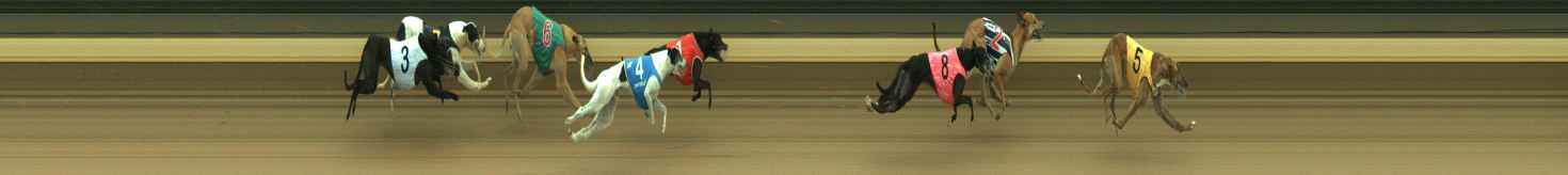 Photo finish for Warragul Race 4