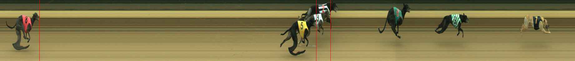 Photo finish for Warragul Race 5