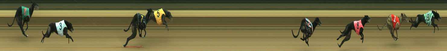 Photo finish for Warragul Race 6